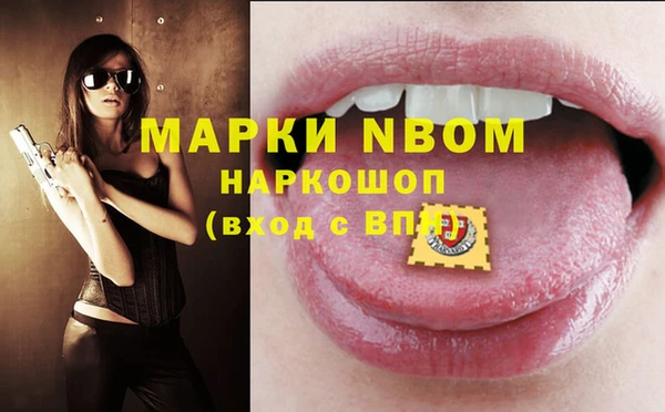 ПСИЛОЦИБИНОВЫЕ ГРИБЫ Арсеньев