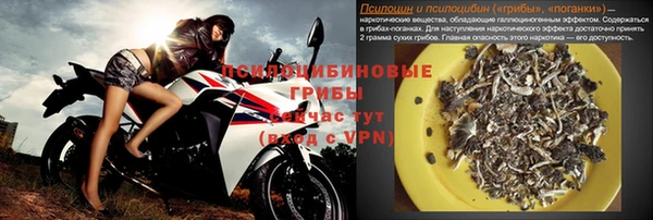 ПСИЛОЦИБИНОВЫЕ ГРИБЫ Арсеньев