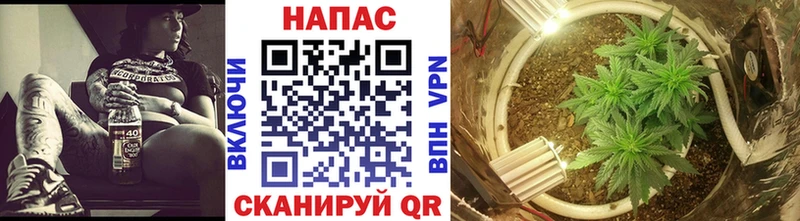 купить  цена  mega онион  Каннабис AK-47  Фролово 